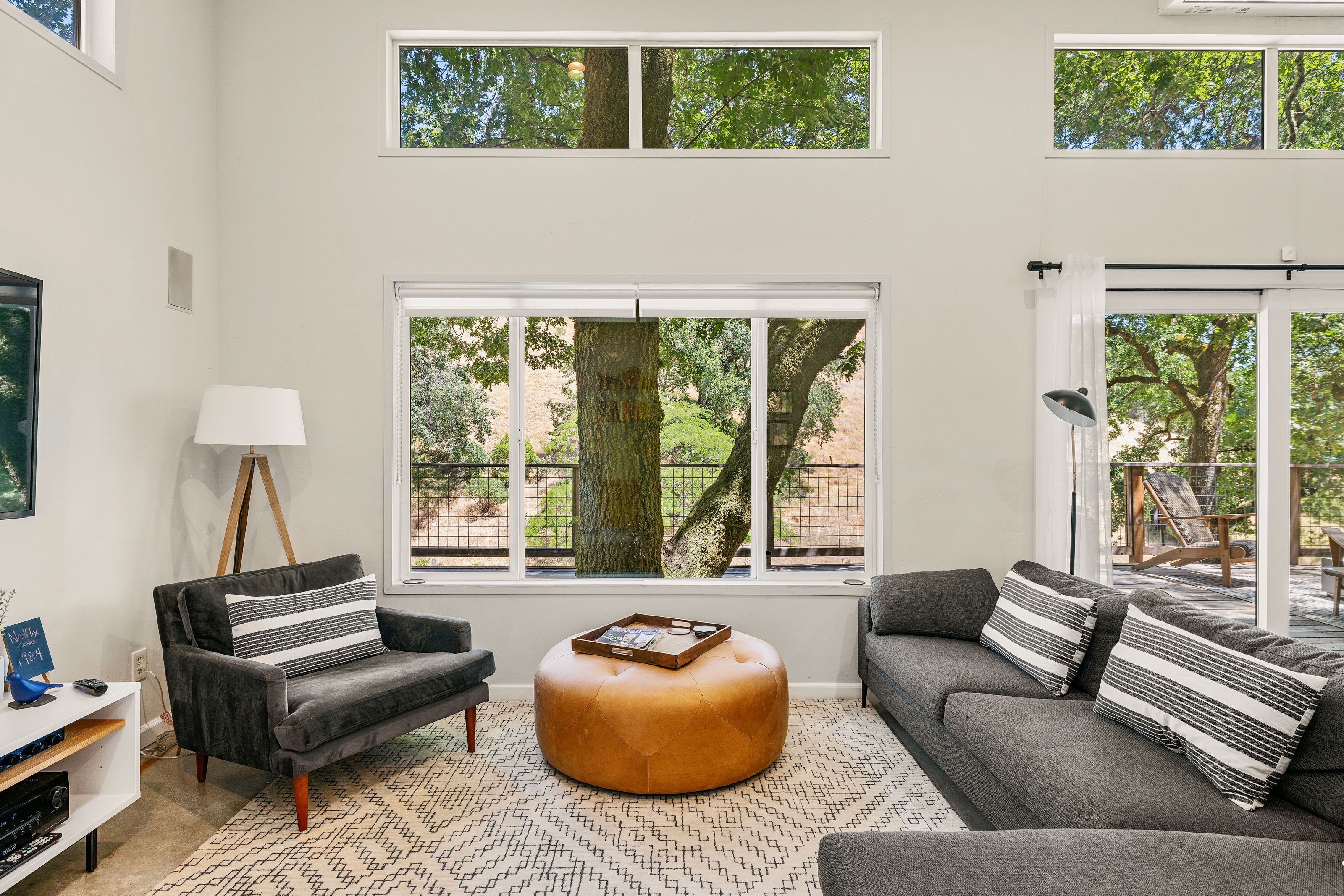 Bright living room with high ceilings and oak tree views